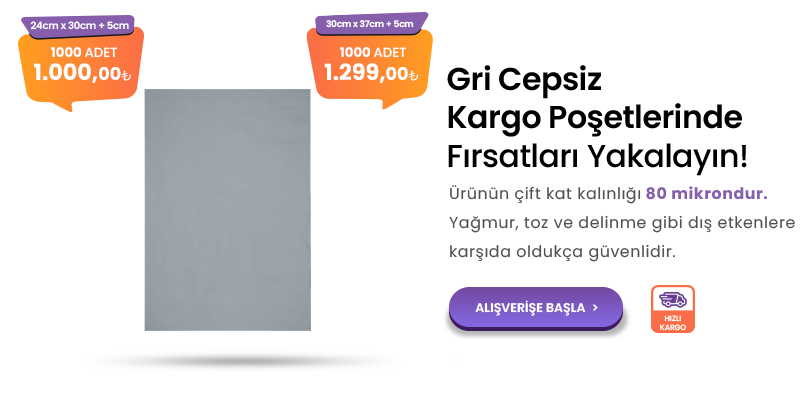 Gri Cepsiz Kargo Pos╠ğeti Web